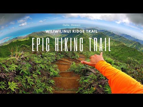 Epic Hiking Trail in Oahu, Hawaii│Wiliwilinui Ridge [FULL GUIDE] Best Trail