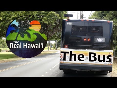 The Real Hawaii: The Bus