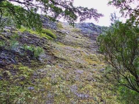 howzitboy hikes: Waipuhia falls (the upsidedown waterfall)