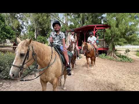 Horseback Riding at Turtle Bay, Hawaii 2021