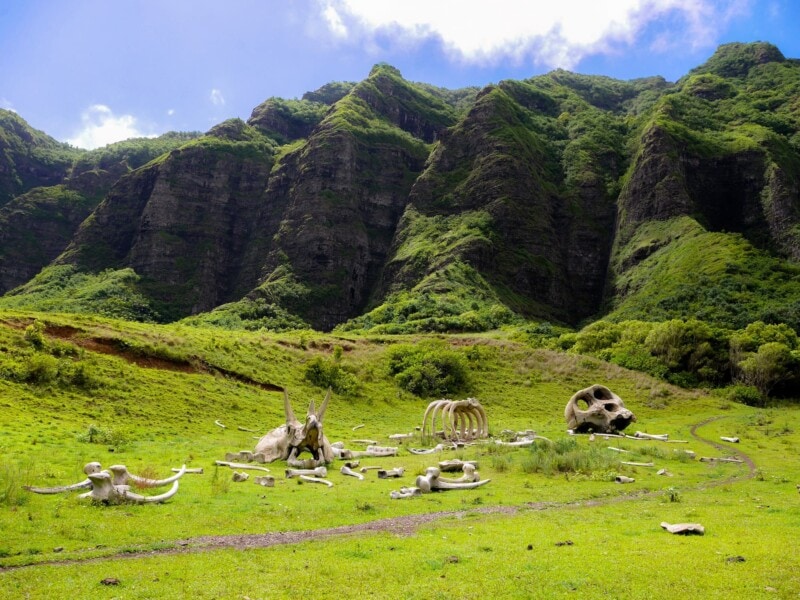 The movie set of "Kong" with skulls and bones on Kualoa, Oʻahu