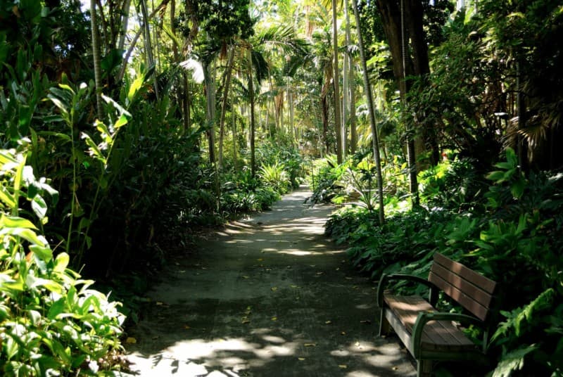 Path and bench in the Foster Botanical Garden