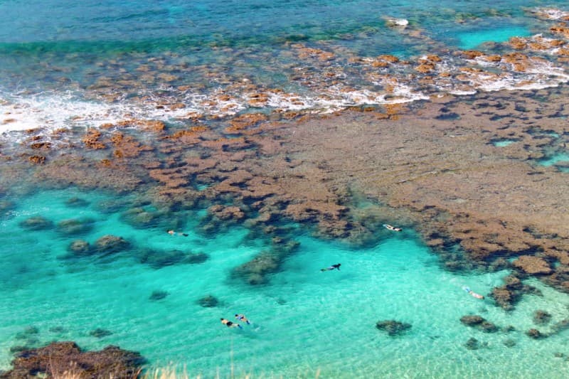 people snorkeling in Hanauma Bay (the backdoor lagoon)