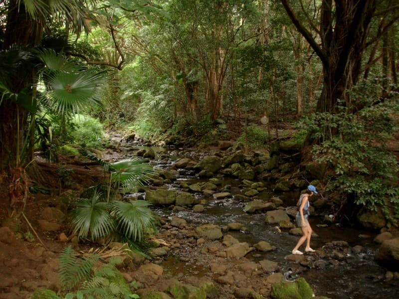 The hike to the Maunawili Falls