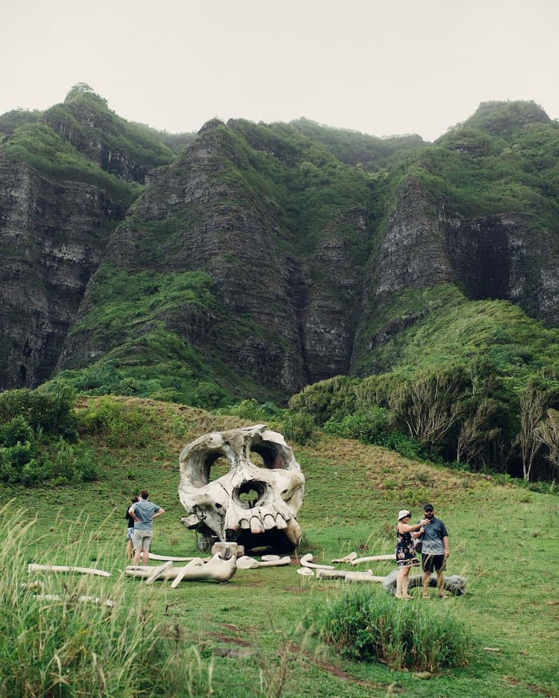 kualoa ranch movie tour vs jungle tour