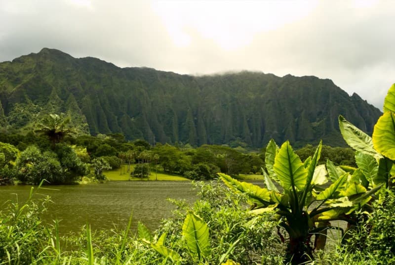 Stream Trail loop at the Ho'omaluhia Botanical Garden