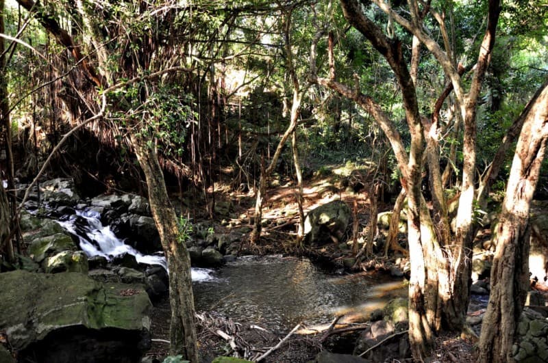 Kapena Falls on O‘ahu