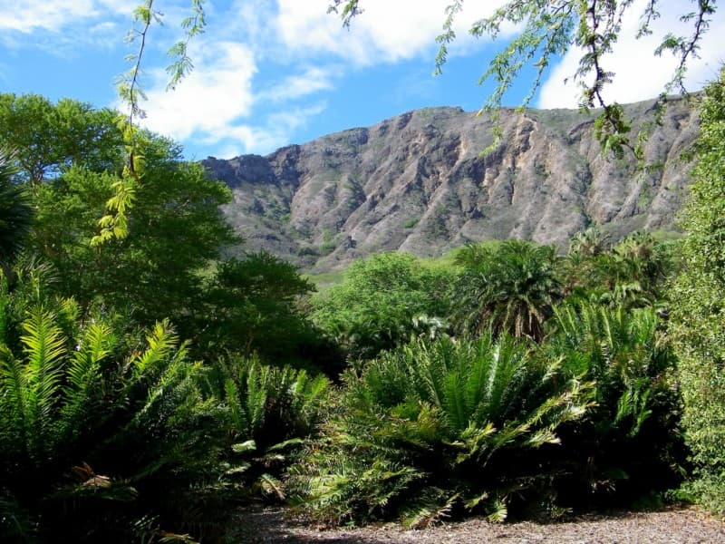 Koko Crater Botanical Gardens 