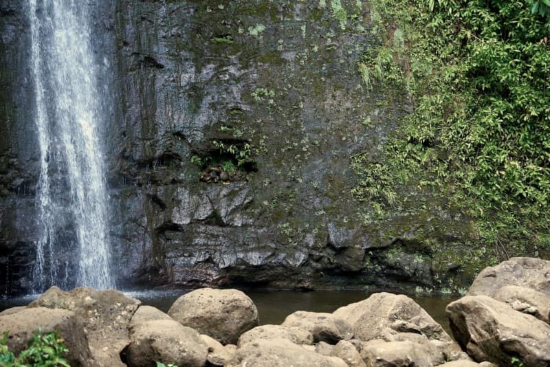 Manoa Falls