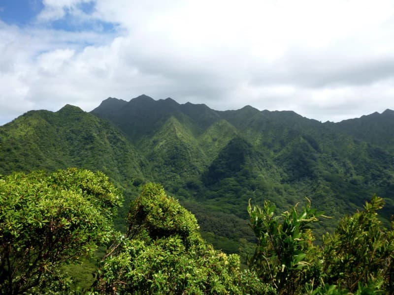 Manoa Valley and Mount Olympus