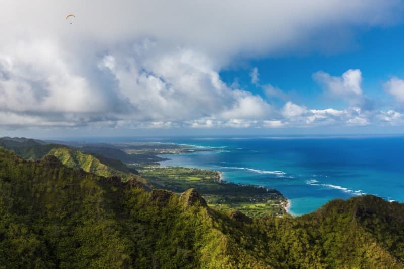 trees and mountains on the Windward O‘ahu coast